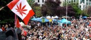 Canadá aprova a legalização da Maconha