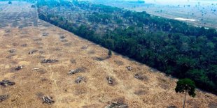 Bolsonaro e militares seguem desmonte do INPE para controlar dados sobre desmatamento no Brasil