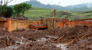 Surto de febre amarela em Minas Gerais pode piorar devido lama da Vale/Samarco