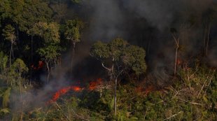 Estimulado por Bolsonaro, desmatamento da Amazônia bate recorde pelo segundo ano consecutivo 