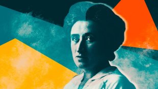 Rosa Luxemburgo, a greve política e a hidra da revolução: a Bélgica novamente