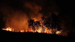 Focos de incêndio no Amazonas são os maiores da história, fruto da ambição capitalista