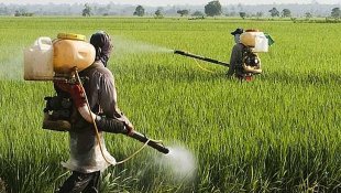 Para proteger interesses de grandes multinacionais governo defende sigilo de agrotóxicos 
