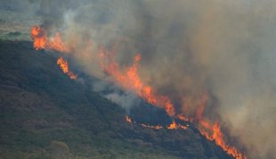 Pantanal em chamas: 57% do bioma está destruído pelas queimadas, o mais atingido desde 1985