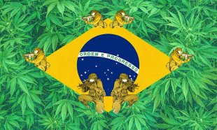 20/4: Sobre a importância da luta antiproibicionista para os revolucionários e o histórico de criminalização da maconha no Brasil