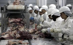 Carne podre para os trabalhadores: o judiciário se importa com o que vai a nossa mesa?