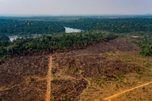 União Europeia pede dados positivos sobre desmatamento na Amazônia 