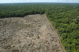Bônus pro agronegócio: mais uma vez aprovada a redução nas áreas de proteção da Amazônia