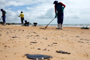 Voluntários que tiveram contato com óleo em praias do NE relatam tontura, náusea e alergia