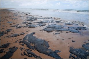 Governo ignora óleo nas praias do nordeste e não aciona o Plano Nacional de Contingência