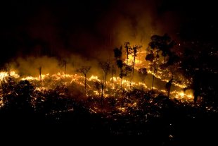 Política de Salles e Mourão faz queimadas por manejo agropecuário na Amazônia baterem 71% 