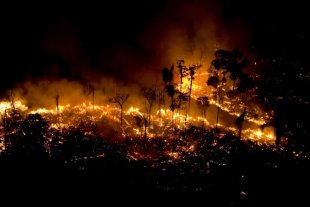 Sob governo Bolsonaro, grandes fazendas concentraram 72% do fogo "hotspots" da Amazônia