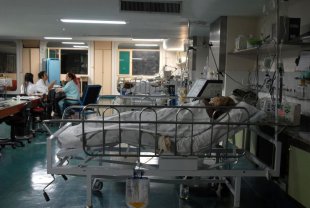 Em meio a pandemia, Bolsonaro corta R$ 100 milhões dos ​hospitais das universidades federais