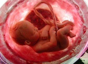 Projeto de Lei quer obrigar vítimas de estupro a verem imagens de fetos antes de aborto