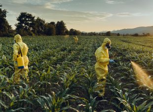 Governo Bolsonaro decreta Lei que irá flexibilizar a liberação de agrotóxicos