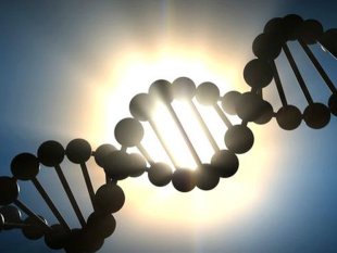 Cientistas editam genoma de embrião humano para evitar doença hereditária