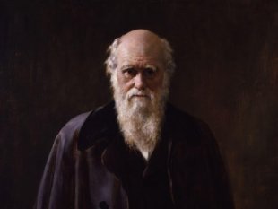 O homem que fundou a biologia moderna: 207 anos do nascimento de Charles Darwin
