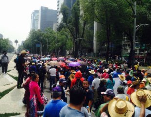 O magistério nacional mexicano se mobiliza contra o processo eleitoral
