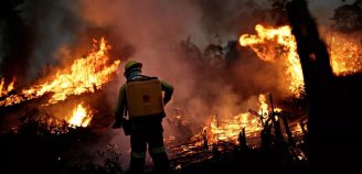 Por falta de verba, Ibama interrompe combate a incêndios no Pantanal e demais regiões