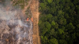 Nas mãos de Bolsonaro e Salles, desmatamento na Amazônia cresceu 51% nos últimos 11 meses