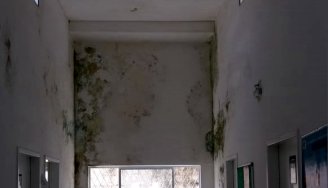 Denúncia: mofo cobre as paredes em UBS de Natal - RN