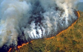Manaus sufoca, Apagão no Amapá e Amazônia em chamas: o Norte agoniza sob o regime do golpe