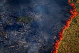 Em meio a queimadas na América Latina, Ministro anuncia suspensão das operações contra desmatamentos