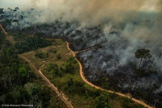 Incêndios florestais superam marca recorde e 10 anos somente em 2020 segundo INPE