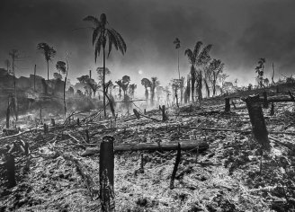 Fotógrafo registra a Amazônia sendo destruída pela sede de lucro capitalista