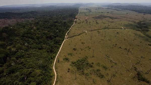 Amazônia: Alertas de desmatamento no mês de maio é o maior desde 2016